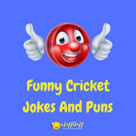 30+ Hilarious Cricket Jokes And Puns! | LaffGaff