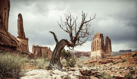 rock, USA, desert, Utah, landscape, nature, overcast, HD Wallpaper ...