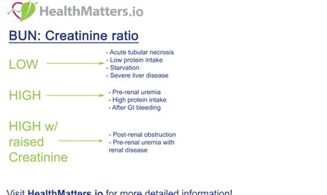 What is the BUN/Creatinine Ratio? – HealthMatters.io – Lab results ...