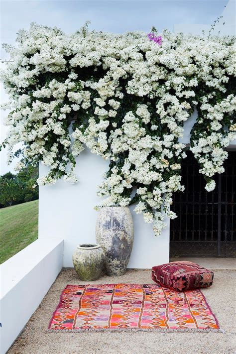 Australie / Tigmi Trading, superbe choix de tapis marocain / | Garden inspiration, White gardens ...