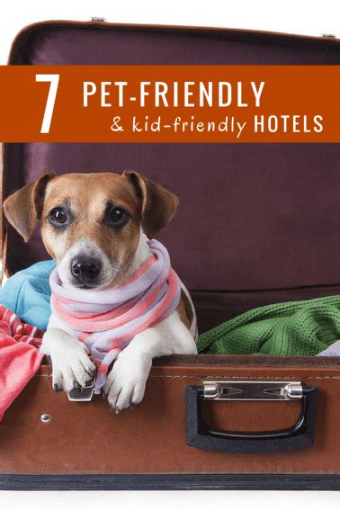 7 Great Hotel Chains for Pet-Friendly Travel - Trekaroo Blog