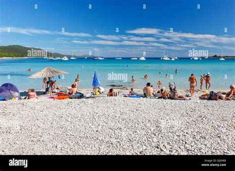 Tourists enjoying on Sakarun beach, Dugi otok, Croatia Stock Photo, Royalty Free Image ...