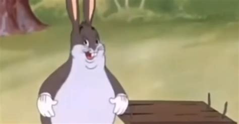 Will Big Chungus Be in 'MultiVersus'? Here's What We Know About His Arrival