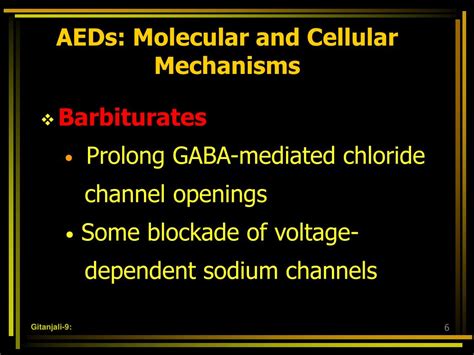 PPT - Mechanism of action of Antiepileptic Drugs PowerPoint ...