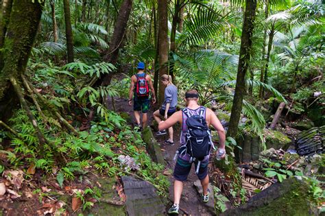 El Yunque National Forest | Puerto Rico Attractions - Lonely Planet