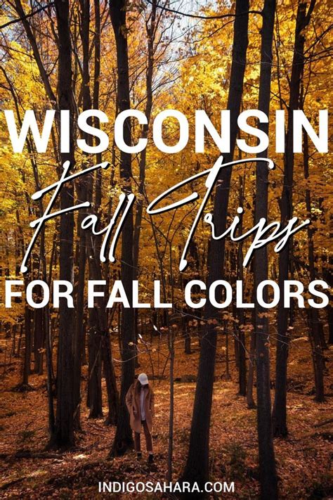 Best wisconsin fall trips for fall foliage scenic drives – Artofit