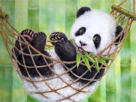 Gambar Wallpapers Tumblr Panda - Wallpaper Cave