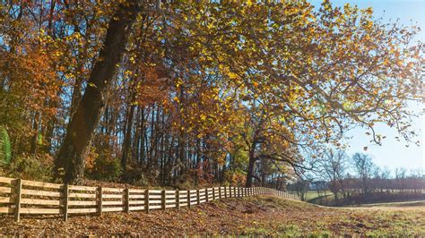 Board Fence Installation in Fairfax Station, VA - ProFence LLC