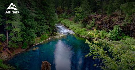 Best Trails in Willamette National Forest - Oregon | AllTrails