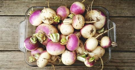 Growing Turnips: The Complete Guide to Plant, Grow and Harvest Turnips