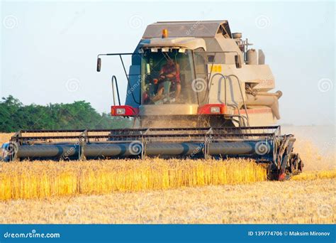 Harvester Machine To Harvest Wheat Field Working Editorial Photo - Image of field, crop: 139774706