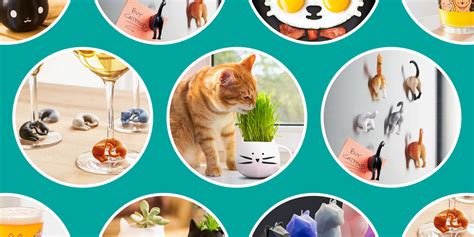 21 Best Gifts for Cat Lovers in 2022 - Cute Cat Gifts & Products