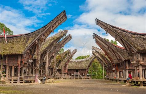 Tongkonan Houses, Traditional Torajan Buildings, Tana Toraja Stock Photo - Image of detail ...