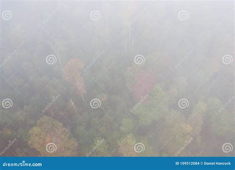 Autumn Aerial with Fall Colors in Allegheny National Forest Stock Photo - Image of park, mist ...