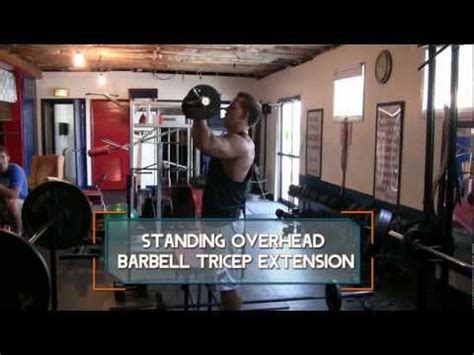 Standing Overhead Barbell Tricep Extension | Exercise.com