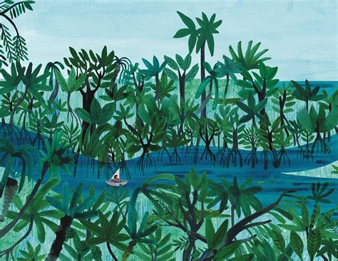 Image of Mangroves | Forest illustration, Forest painting, Mangrove