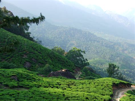 6 Best Hill Stations in Kerala - Know Immense Beauty of Kerala