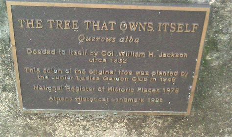 The HappiTraveler: The Tree That Owns Itself - Athens, GA