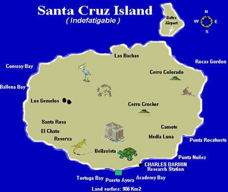 Galapagos photos, Santa Cruz Island map | Santa cruz island, Galapagos islands, Island map