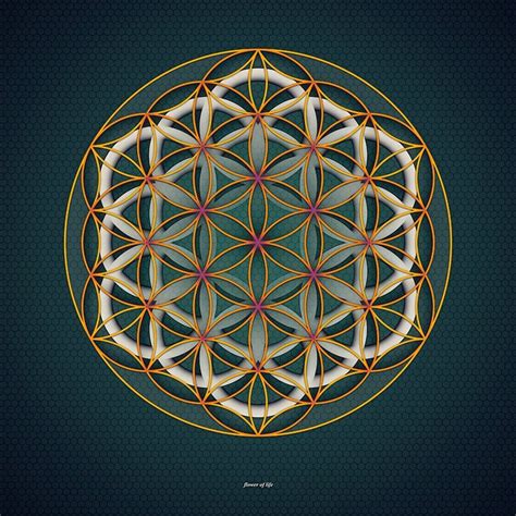 Flower of Life Wallpaper | Sacred geometry art, Sacred geometric ...