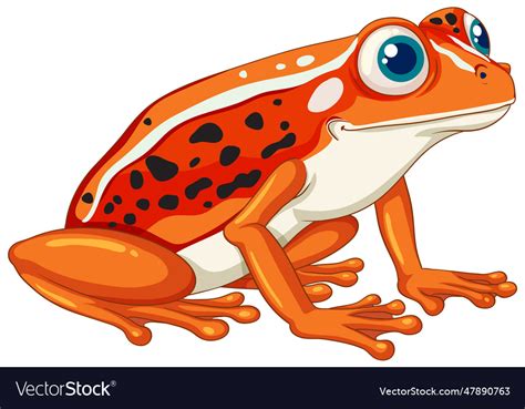 Orange frog cartoon Royalty Free Vector Image - VectorStock