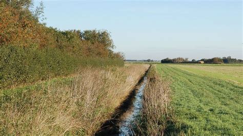 How to deal with hedges | Working for Wildlife