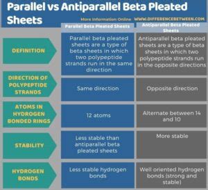 Difference Between Parallel and Antiparallel Beta Pleated Sheets | Compare the Difference ...