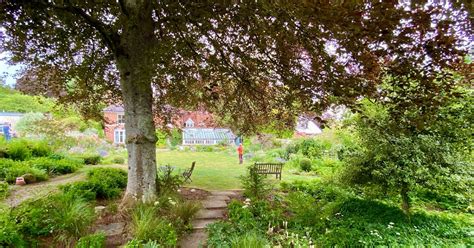 Herry's Journal: Favourite Gardens - Little Court, Crawley