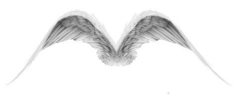 Fallen Angel Drawings Love