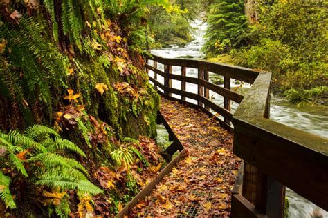 Four Breathtaking Fall Hikes to Take in Oregon