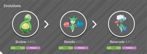 Budew Guide: A Rosebud Pokemon With The Potential To Blossom - Pok Universe