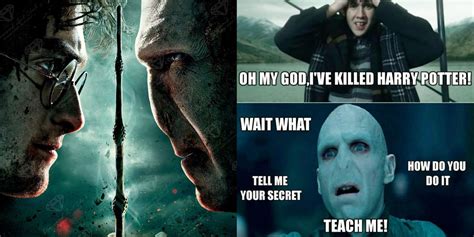 Harry Potter: 10 Memes That Perfectly Sum Up Harry And Voldemort's Rivalry