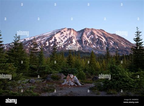 WA22504-00...WASHINGTON - Dawn light on Mount St. Helens from the Lahar Viewpoint in Mount St ...