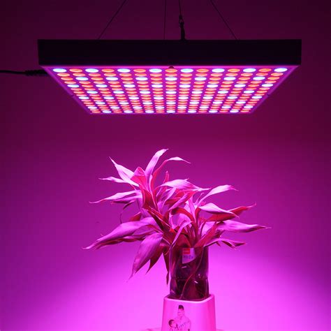 45W LED Grow Light (225 LED Lights, Blue + Red, 2160 Lumens, Energy Efficient) [TAJT-LT405]- US ...