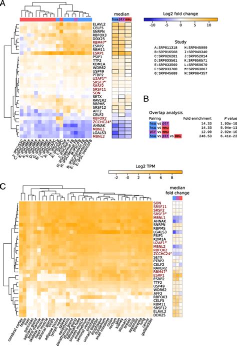 Splicing factors with consistent gene expression changes. (a) The left... | Download Scientific ...