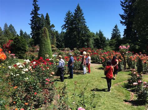 Washington Park Rose Garden, Oregon, turns 100 - GardenDrum