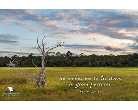 Psalm 23 Green Pastures Original Photograph With Bible Verse - Etsy