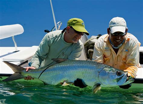 The Top Seven Tarpon Flies - Yellow Dog Flyfishing