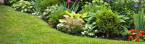 Oderings Plants & Softscaping Services