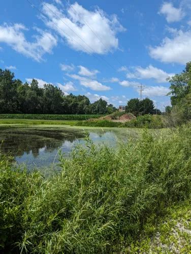 Best Hikes and Trails in Shiawassee National Wildlife Refuge | AllTrails