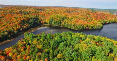 Where to See the Best Fall Colours in Ontario: The Ontario Parks ...