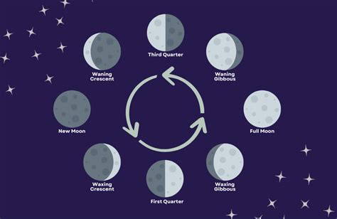 Beginners Guide: Planting by the Moon Phases - Offbeat Gardener