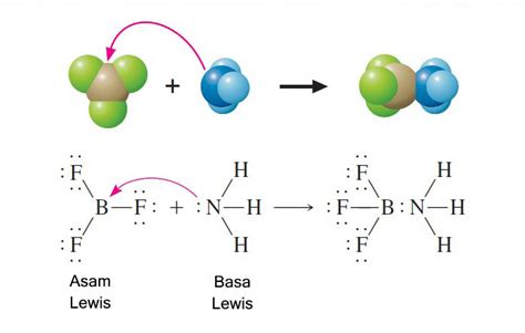 Teori Asam Dan Basa Menurut Arrhenius, Bronsted-Lowry, dan Lewis | ezy blog