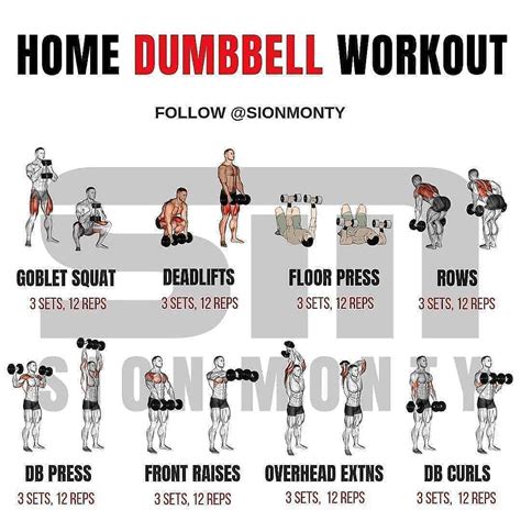 𝐒𝐀𝐕𝐄 𝐅𝐎𝐑 𝐋𝐀𝐓𝐄𝐑... | Dumbbell workout at home, Full body weight workout, Dumbbell workout