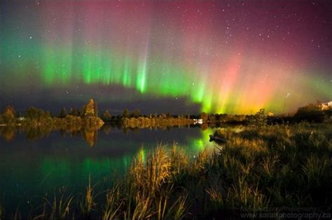 Aurora Borealis Forecast. Everything You Need to know.