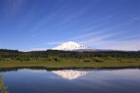 Delights of the Heart: Walk with Me - Trout Lake, Washington