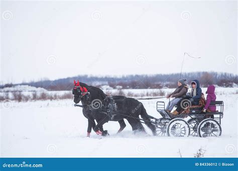 Horse-drawn cart on snow editorial photography. Image of white - 84336012