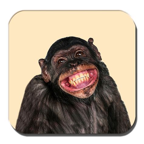 Chimpanzee Coaster Funny Chimp Smiling Laughing Cream