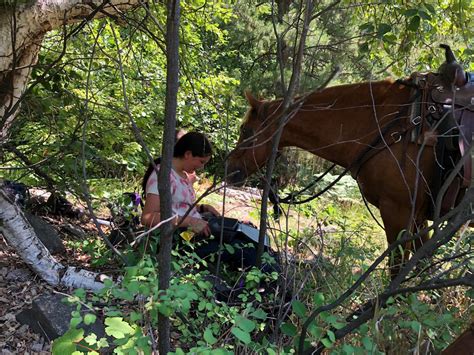 Harding Heights Ranch - A family owned horseback riding business located in the beautiful ...