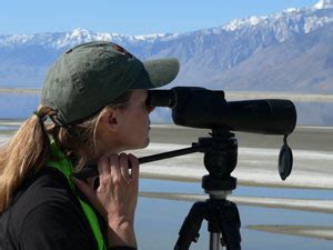 Birding the Owens Lake Big Day | Audubon California